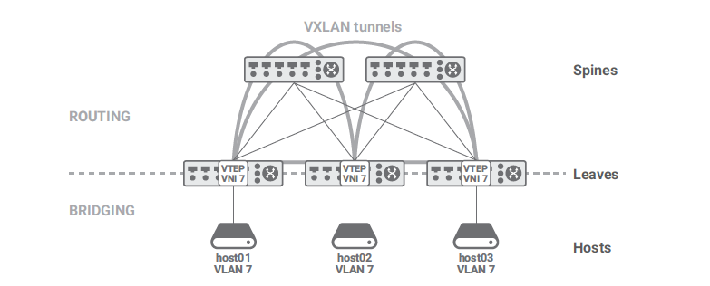 VXLAN Tunnel Termination